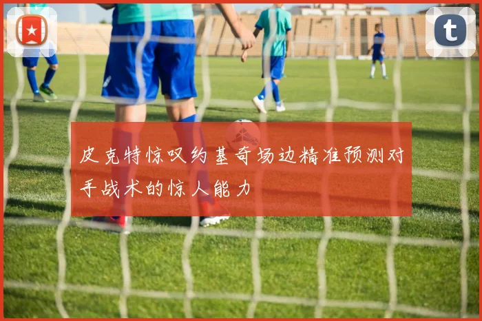 皮克特惊叹约基奇场边精准预测对手战术的惊人能力