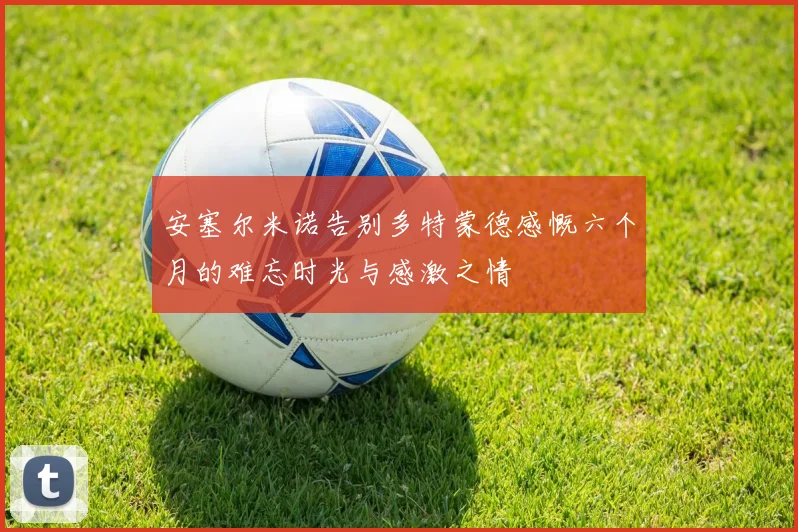 安塞尔米诺告别多特蒙德感慨六个月的难忘时光与感激之情