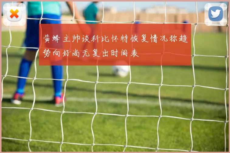 黄蜂主帅谈科比怀特恢复情况称趋势向好尚无复出时间表
