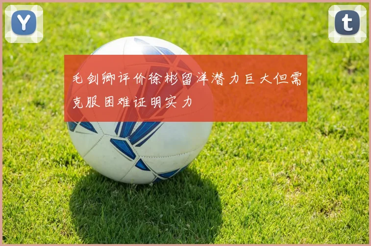 毛剑卿评价徐彬留洋潜力巨大但需克服困难证明实力