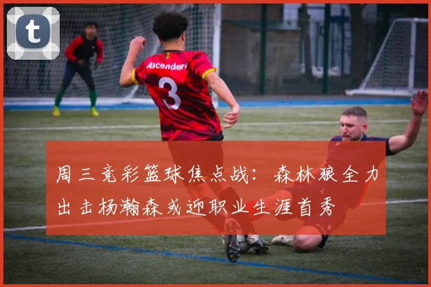 周三竞彩篮球焦点战：森林狼全力出击杨瀚森或迎职业生涯首秀